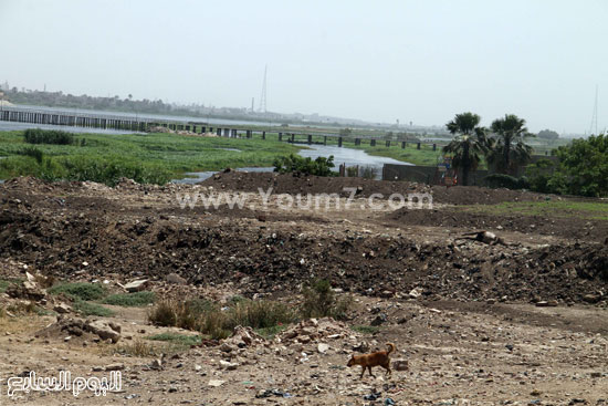 اليوم السابع -5 -2015